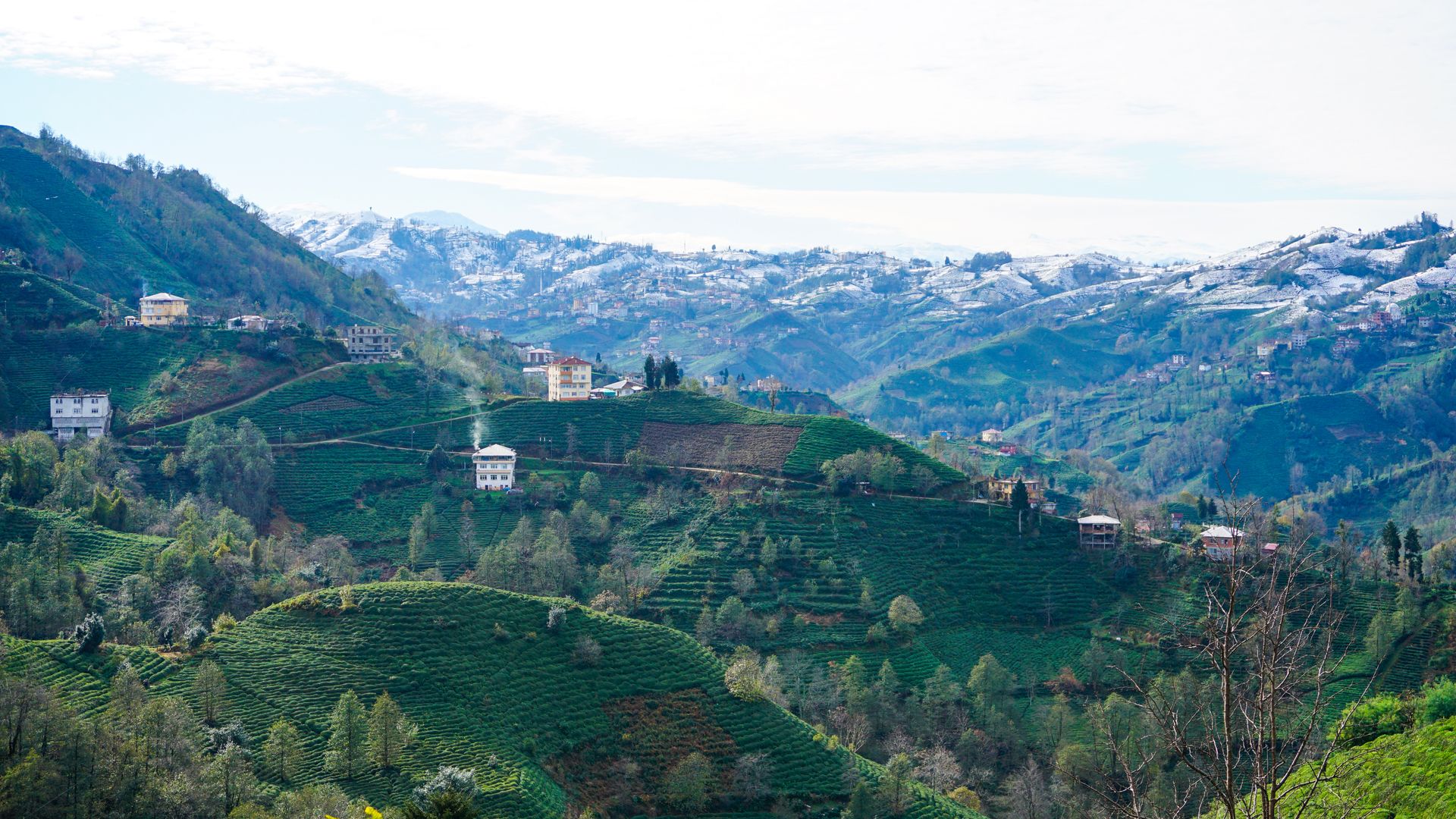 Almanya Vize Başvurusu Rize