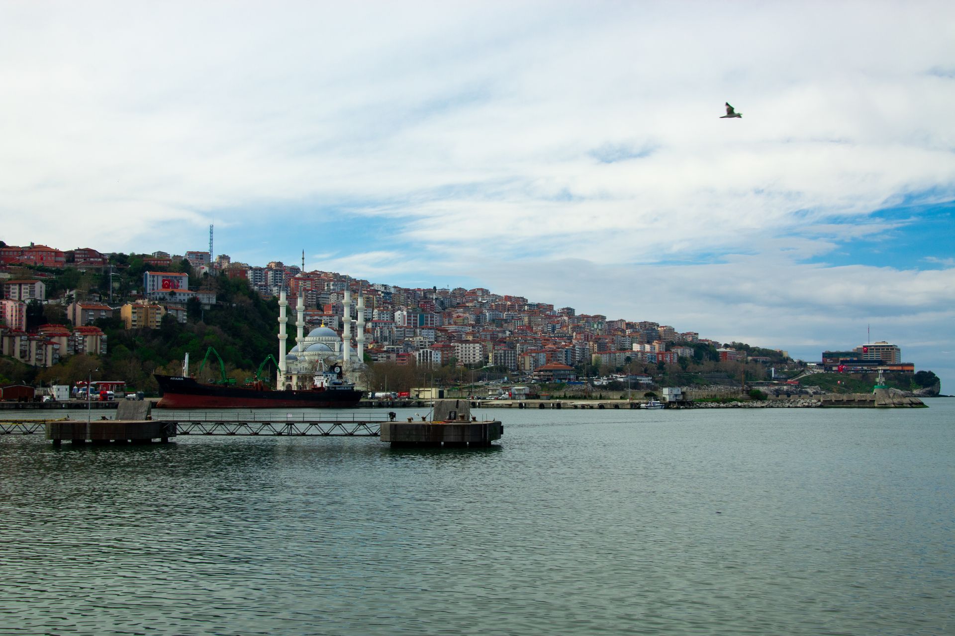 Almanya Vize Başvurusu Zonguldak