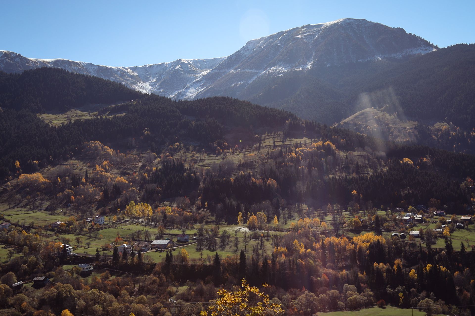 Almanya Vize Başvurusu Artvin